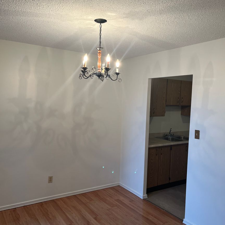 1 bedroom - Utilities Included -152 Thorold - Photo 1