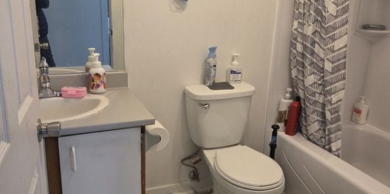 APARTEMENT 5 1/2 3cc DISPO 1er JUIL 2026 - Photo 3
