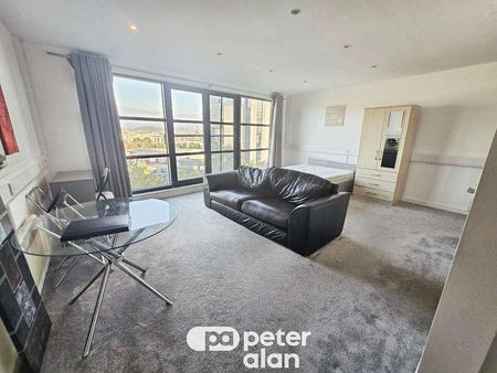 Castle Lofts, Castle Street, Swansea, SA1 - Photo 5