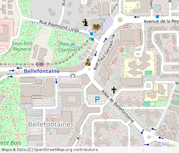 Allée de Bellefontaine, Toulouse - Photo 1