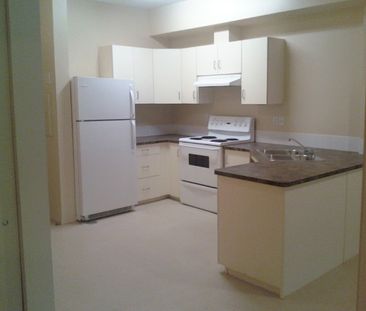 Main Floor 2 Bedroom 1 Bathroom Condo unit - Photo 1