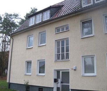 Gemütliche 3-Zimmerwohnung mit Tageslichtbad zu vermieten - Photo 3