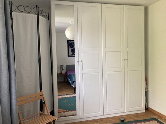 APPARTEMENT DE 2 PIÈCES À STEIN (AG), MEUBLÉ, TEMPORAIRE - Photo 1