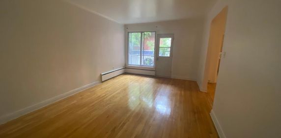 NDG Apt 1 bedroom - Photo 2