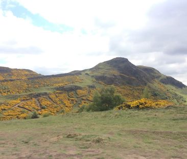 1 Bed Flat, Viewcraig Gardens, EH8 - Photo 3