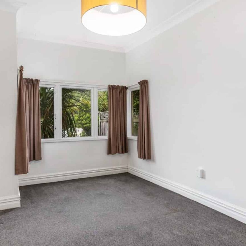 Handy in Hataitai - Photo 1