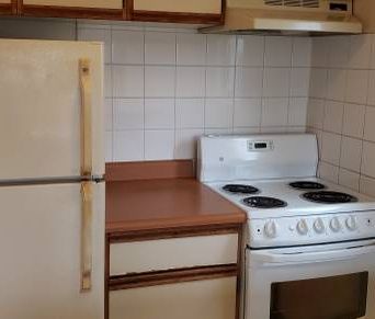 One big unit w/ 1ba & 1br on W12/Oak $1850/month - Photo 3