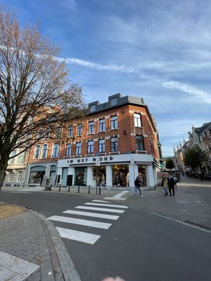 Franz Tielemanslaan 4 / 0303, 3000 Leuven - Photo 1