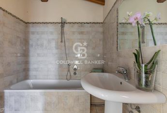 via miramare, 3, Camaiore, Tuscany 55041