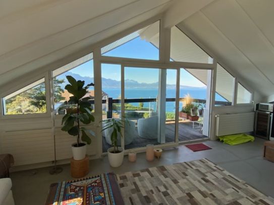 Splendid luxury apartment in Grandvaux with lake view - Photo 1