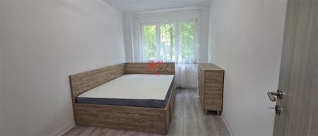 Inchiriere apartament 2 camere Teiul Doamnei - Photo 2