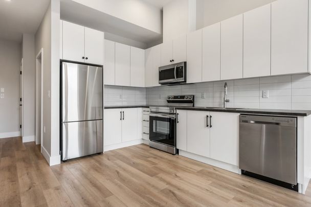 MCGILL - 411 - MG411 - Photo 1