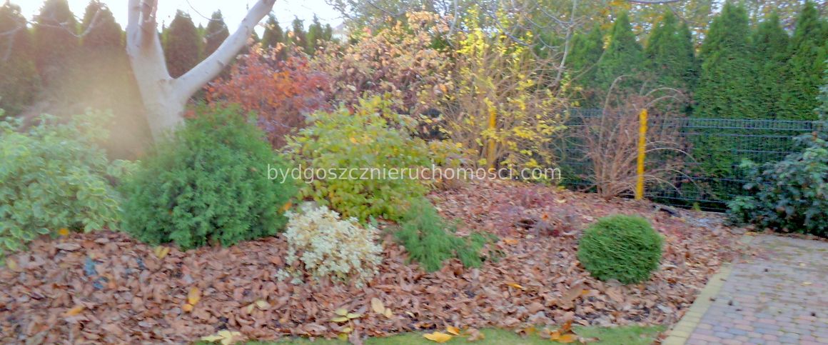 Do wynajęcia dom Osielsko - 109m2 - Photo 1