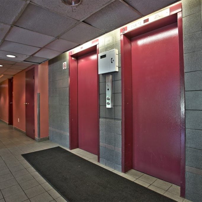 Susan Towers - Photo 1