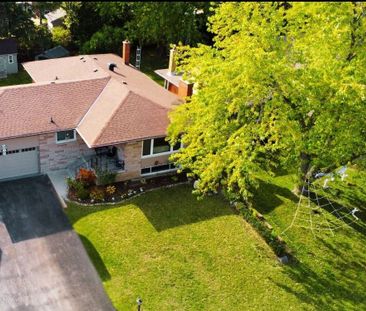 For Lease - 231 Elizabeth Street Unit# LOWER, Brampton, Ontario - Photo 6