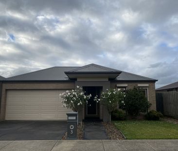 3 Bedroom in Quiet Location - Photo 1