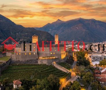 ENORME LOFT CON TERRAZZA VISTA SUI CASTELLI A BELLINZONA - Photo 6