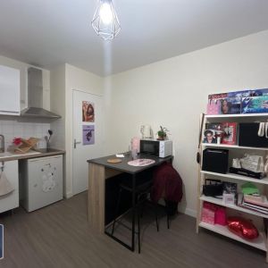 Location Appartement 1 pièce 19m² TOURS 37000 - Photo 2