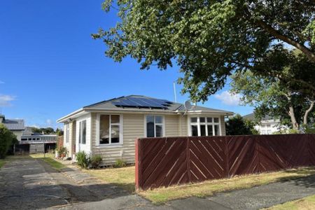 113 Newcastle Street, Windsor - Photo 2