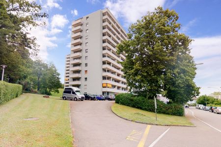 Traumhafte Aussicht über Zürich mit Bergpanorama - Photo 2