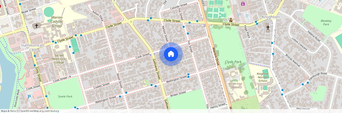 124C Galloway Street, Hamilton East