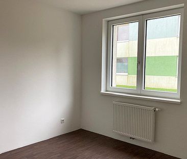 Wohnung in Langau - Photo 1