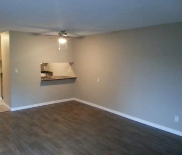 Beau Mills Apartments — 1 Bedroom - Photo 1