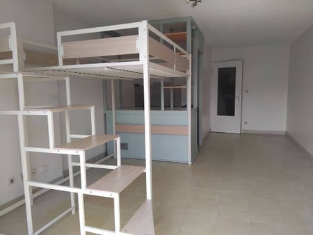 Location Appartement 1 pièce 29m² GRENOBLE 38000 - Photo 2