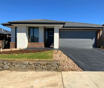 $575 Per Week | Brand New Home | 4 Bed | 2 Bath | 2 Living | Study ... - Photo 3