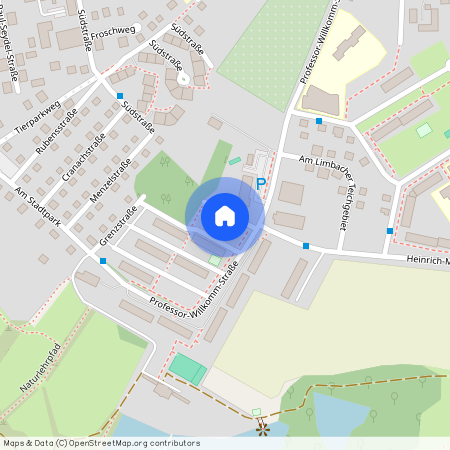 Professor-Willkomm-Str. 13c, 09212 Sachsen - Limbach-Oberfrohna