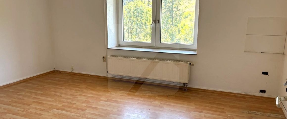 Lüdenscheid-Wettringhof: Single-Appartment im Erdgeschoss - Photo 1