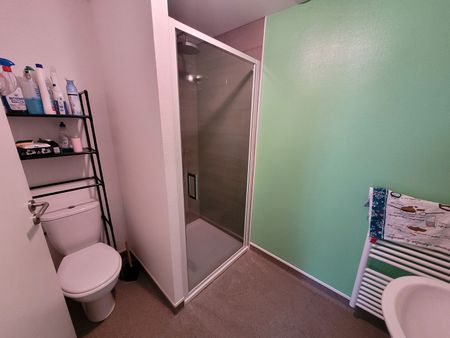 Location Appartement 1 pièce 22m² - Photo 3