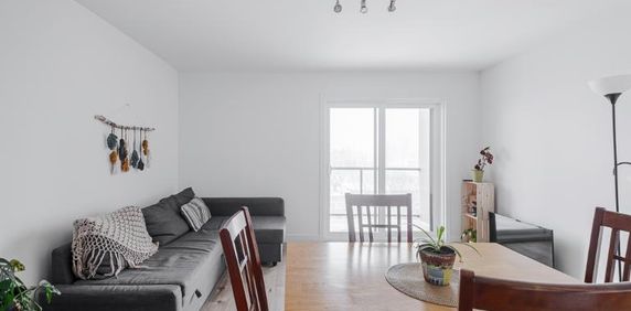 Appartement 3 ½ à louer Sainte-Foy / Sillery février 2026 - Photo 2