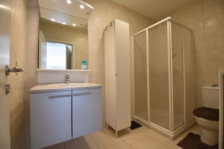 Instapklaar gelijkvloers appartement met zonnig terras en carport te huur - Foto 5