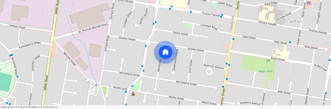 3 Bambridge Street, Chester Hill