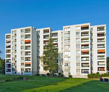 Barrierearme 3-Zimmer-Wohnung in Erkrath Hochdahl-Schildsheide - Wir renovieren für Sie! - Foto 6