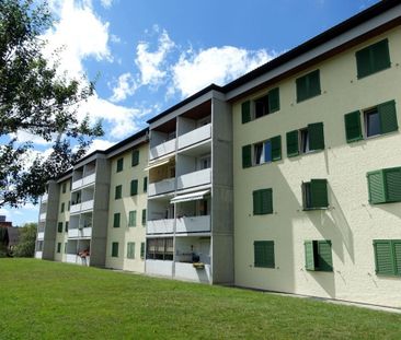 3 room apartment - Photo 1