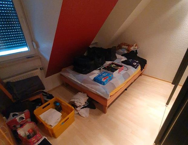 Nachmieter ab Jan Feb 2026 Trebur Rüsselsheim Mainz Groß Gerau - Foto 1