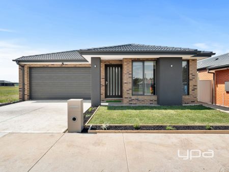 15 Webb Road, Bonshaw - Photo 2