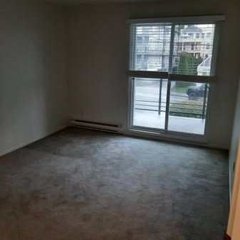 2-Bedroom 2BATH in Whiterock - Photo 1