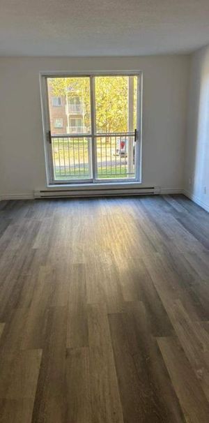 1 CH - 1 SDB - Gatineau - $1,495 /mo - Photo 1