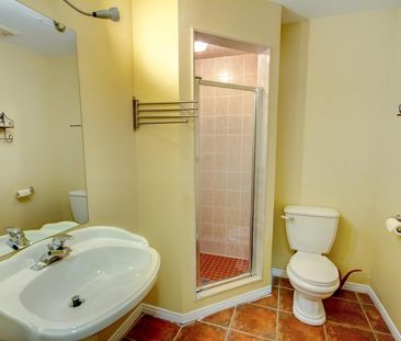 For Lease - 104A Benson Avenue, Richmond Hill, Ontario - Photo 4