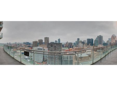 Appartement à louer - Montréal (Ville-Marie) (Centre) - Photo 4