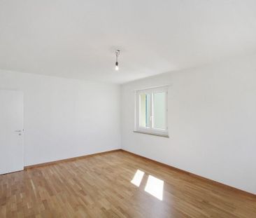 Vivre dans le Sonnenfeld - Photo 6