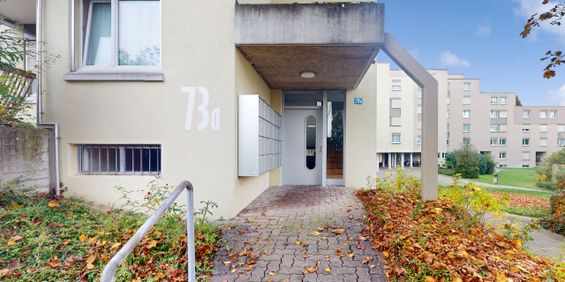 Newly renovated apartment in a central and quiet residential area - Photo 3