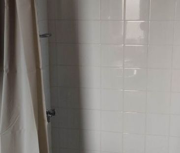 Location Appartement 1 pièce SAINT MATHIEU (87440) - Photo 5