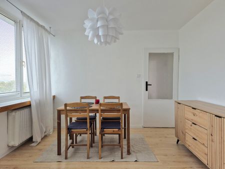 2 pokoje w Centrum przy Galaxy z widokiem na park - Zdjęcie 4