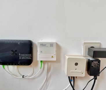 Eugène Demolder 152 - Foto 1