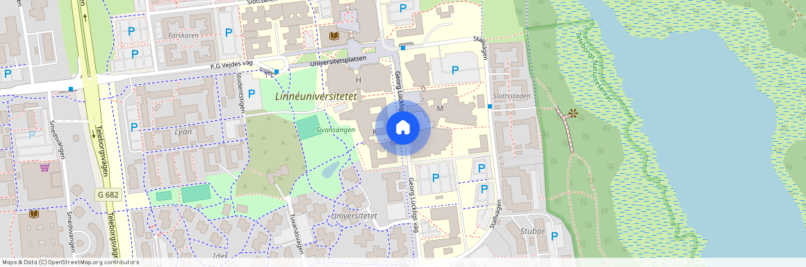 Georg Lückligs väg, Växjö