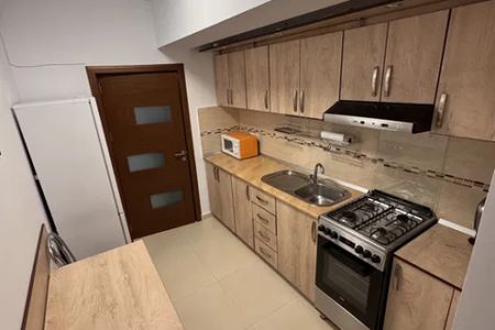 Apartament de inchiriat o camera Valea Lupului - Fotografie 3